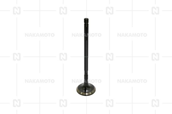 NAKAMOTO A29-HYD-18010085