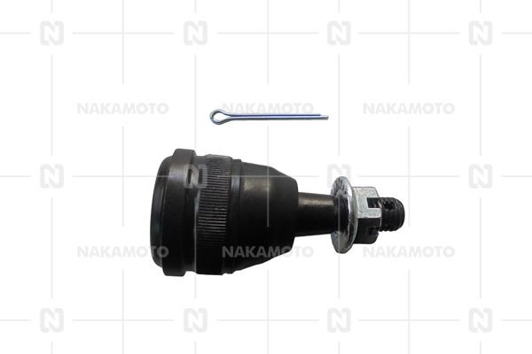 NAKAMOTO C01-FOR-21030134