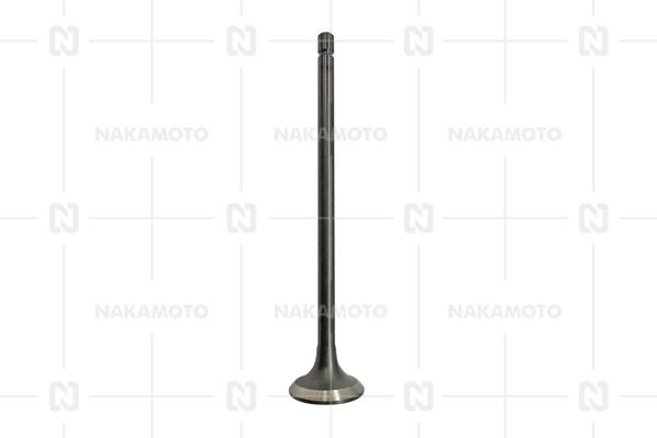 NAKAMOTO A29-MIT-18010198