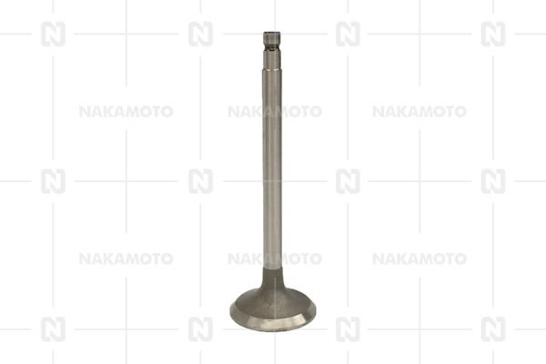 NAKAMOTO A29-NIS-18010352