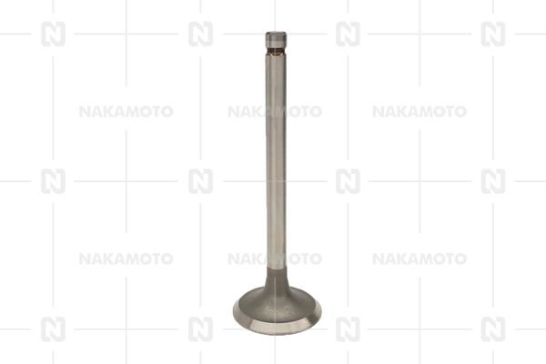 NAKAMOTO A29-MAZ-21030063