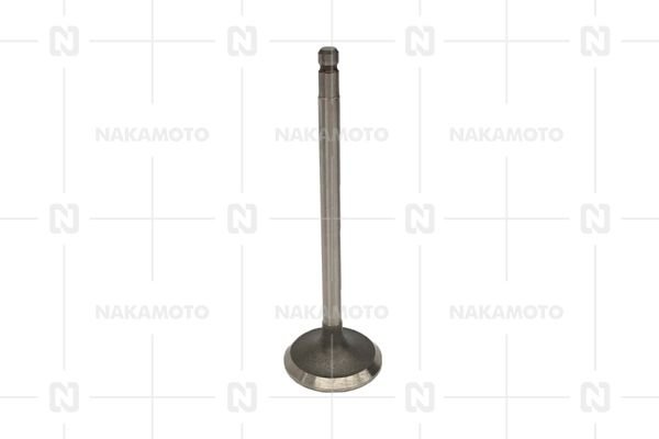 NAKAMOTO A29-NIS-18010280