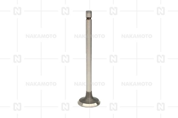 NAKAMOTO A29-HYD-18010118