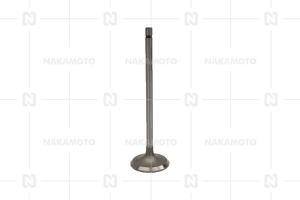 NAKAMOTO A29-SCI-18010004