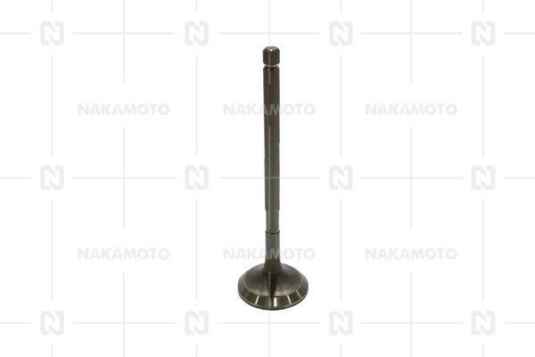 NAKAMOTO A29-TOY-21050002