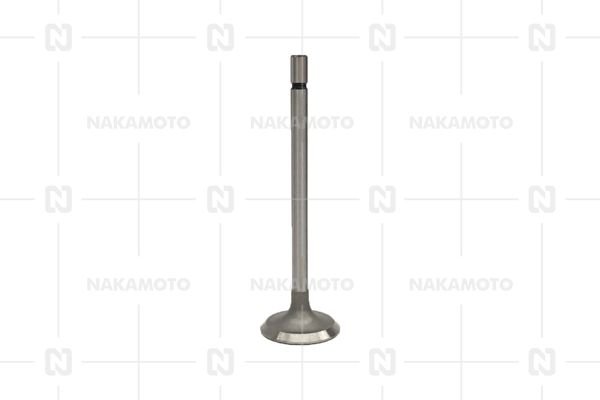 NAKAMOTO A29-HYD-18010104