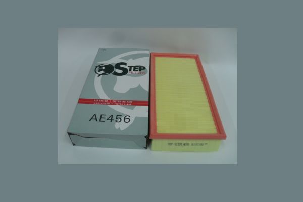 STEP FILTERS AE456
