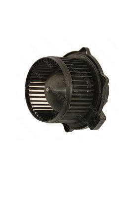 SONTIAN ZD172188