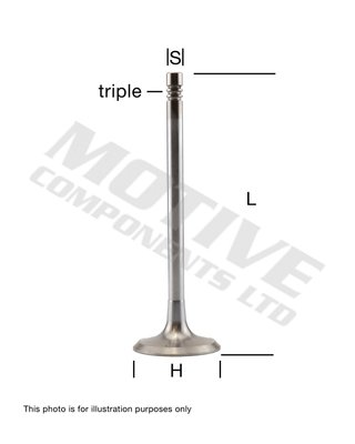 MOTIVE IV4886