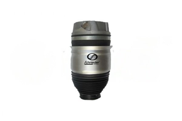 SCHNIEDER AUTOTECH VAS13.00170