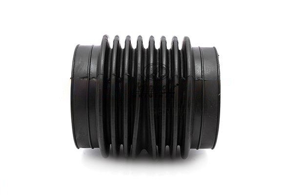 SCHNIEDER AUTOTECH BZT19.00204