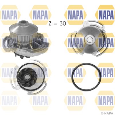 NAPA NWP1011