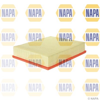 NAPA NFA1229