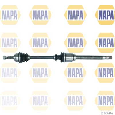 NAPA NDS1256R