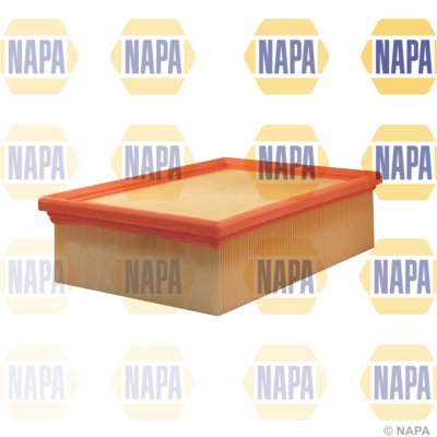 NAPA NFA1061