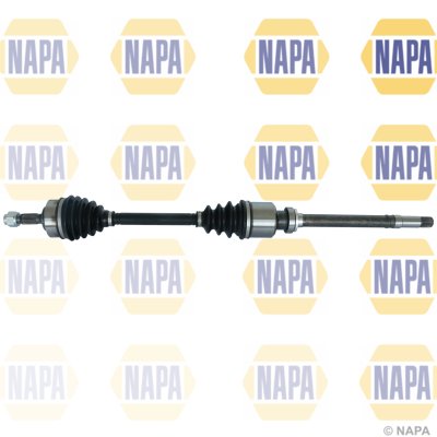 NAPA NDS1600R