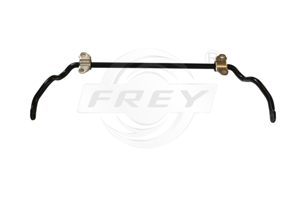 FREY 750351101 FREY 750351101