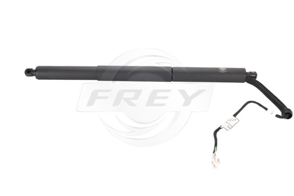 FREY 890816101 FREY 890816101