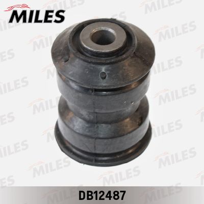 MILES DB12487