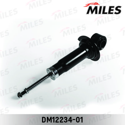 MILES DG12234-01