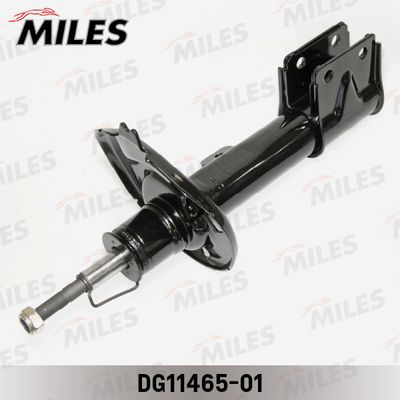 MILES DG11465-01