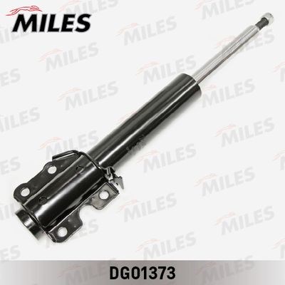 MILES DG01373