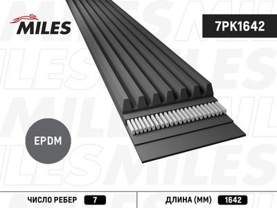 MILES 7PK1642