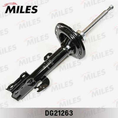 MILES DG21263