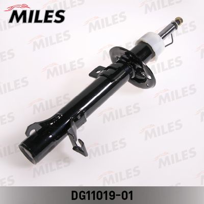 MILES DG11019-01