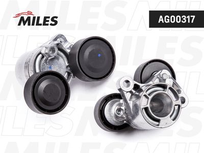 MILES AG00317