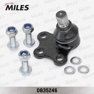 MILES DB35246