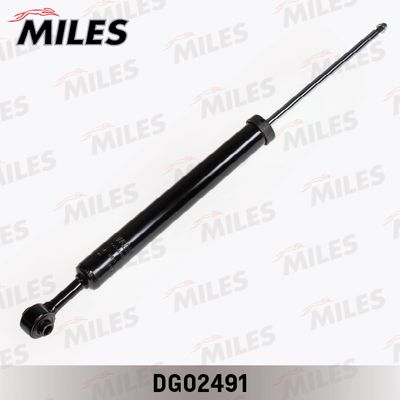 MILES DG02491