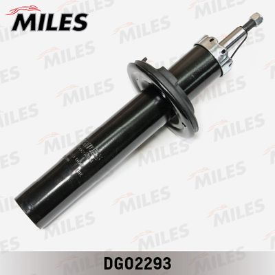 MILES DG02293