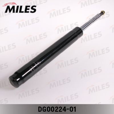 MILES DG00224-01