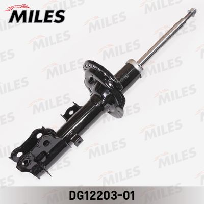 MILES DG12203-01