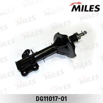 MILES DG11017-01