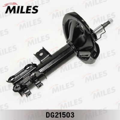 MILES DG21503