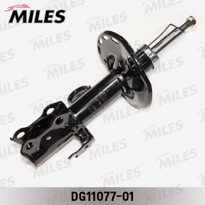 MILES DG11077-01