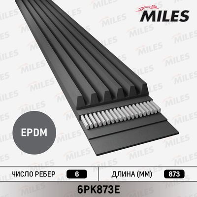 MILES 6PK873E