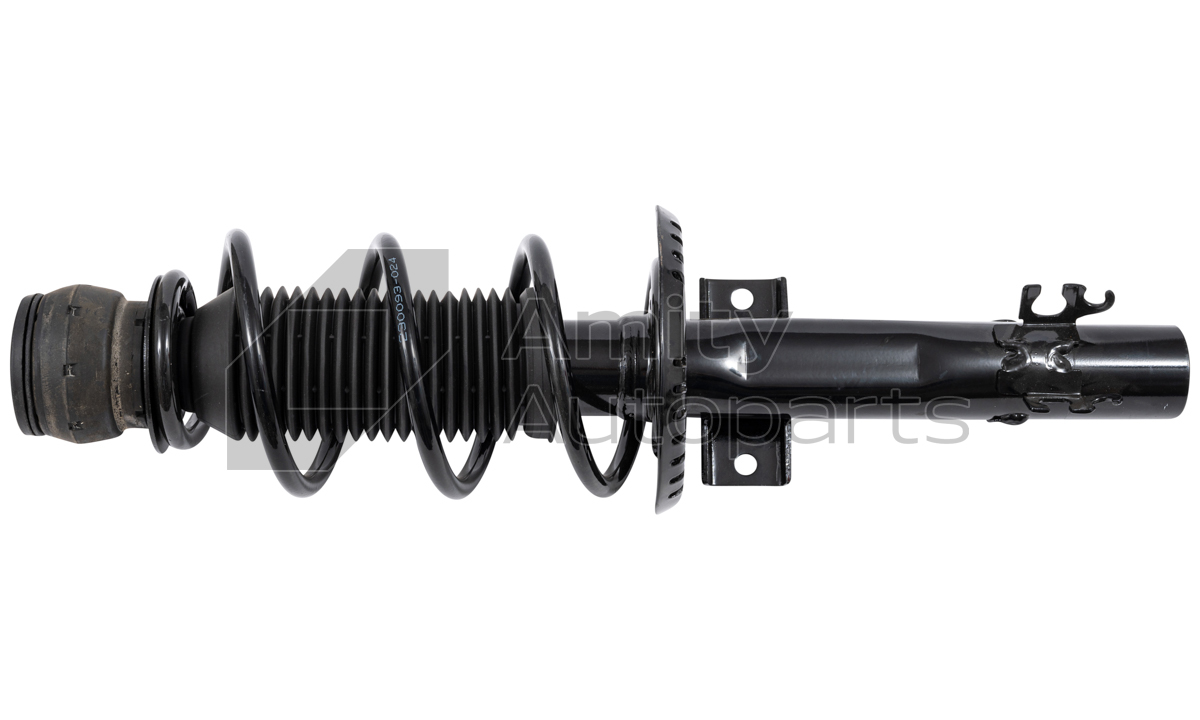 Amity AP 60-SS-0003