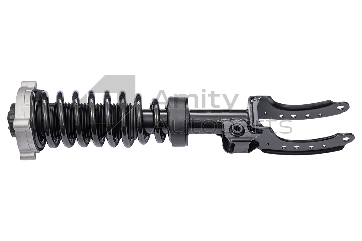 Amity AP 60-SS-0008 Amity AP 60-SS-0008