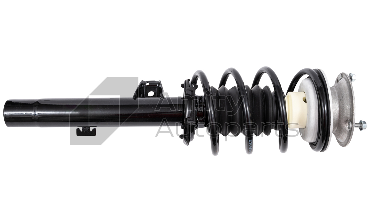 Amity AP 10-SS-0002