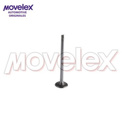 Movelex M03297