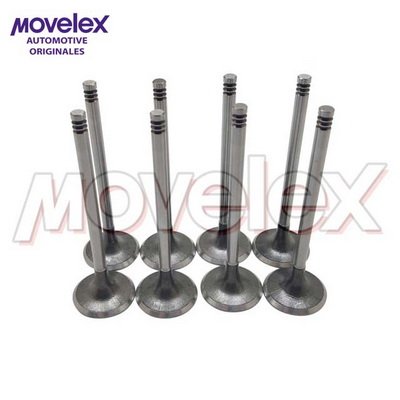 Movelex M15746-2