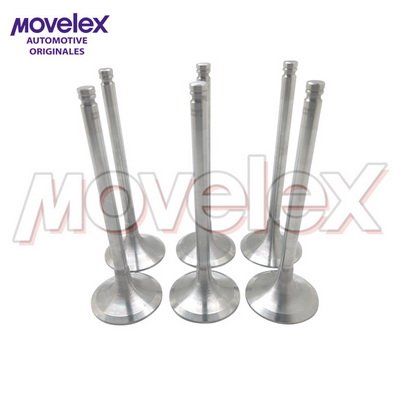 Movelex M08025