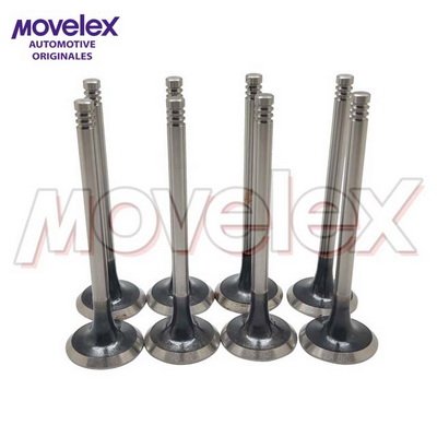 Movelex M15746-1