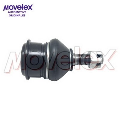 Movelex M20583