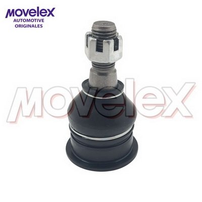 Movelex M20581