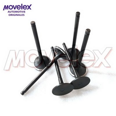 Movelex M12822