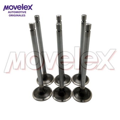 Movelex M19237